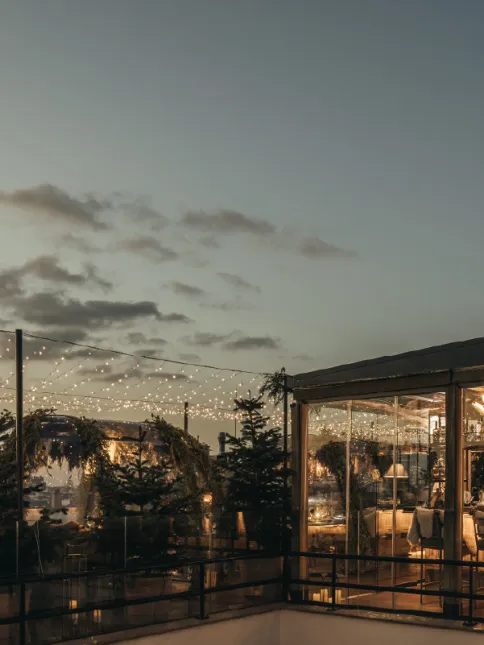 Un homenaje a la raíces