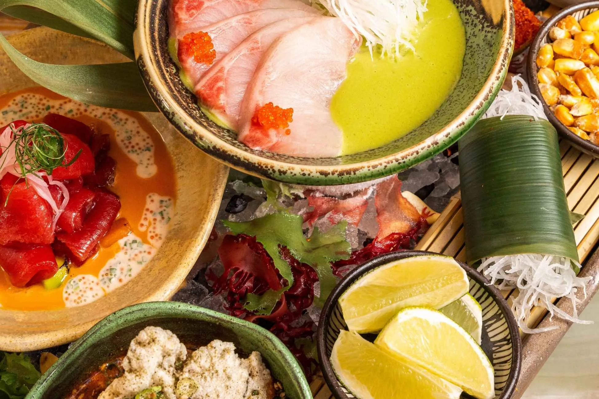 Coya Gastro