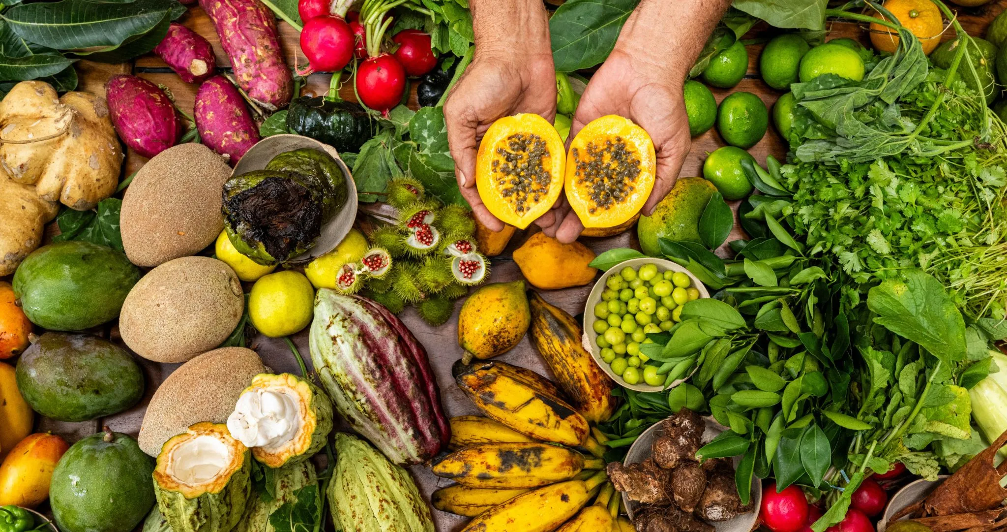 Sabores De Mexico
